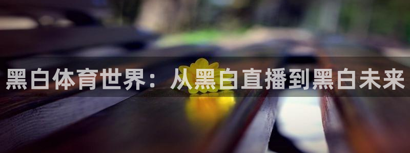 咪咕体育视频直播官网：黑白体育世界：从黑白直播到黑白未来