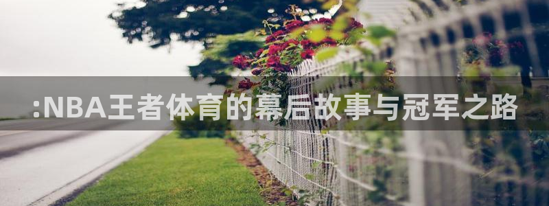 咪咕视频直播：:NBA王者体育的幕后故事与冠军之路