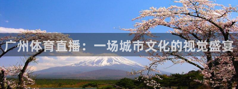 咪咕篮球直播：广州体育直播：一场城市文化的视觉盛宴