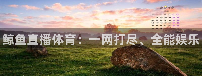 下载咪咕视频体育频道直播：鲸鱼直播体育：一网打尽、全能娱乐