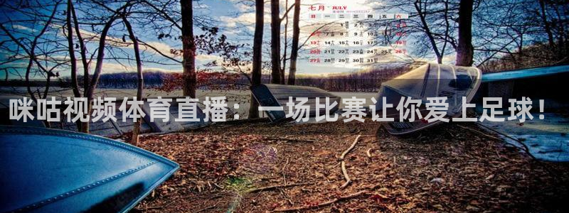 咪咕体育